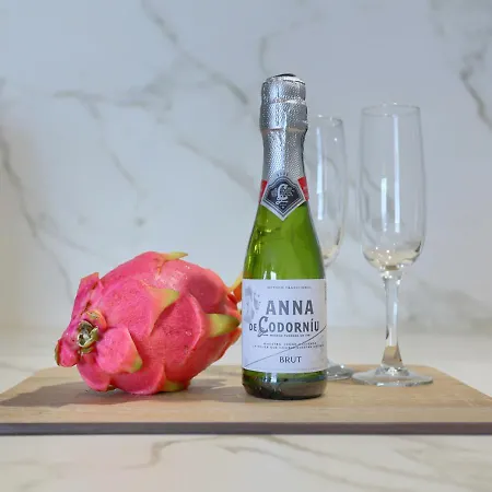 Silvic Jable 科拉雷侯